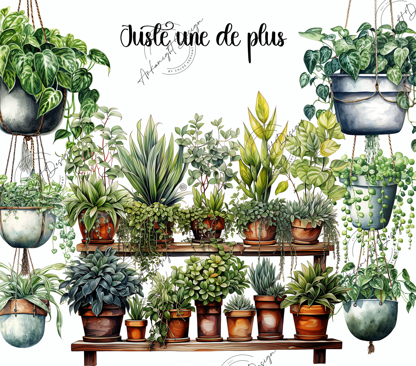 Juste une de plus