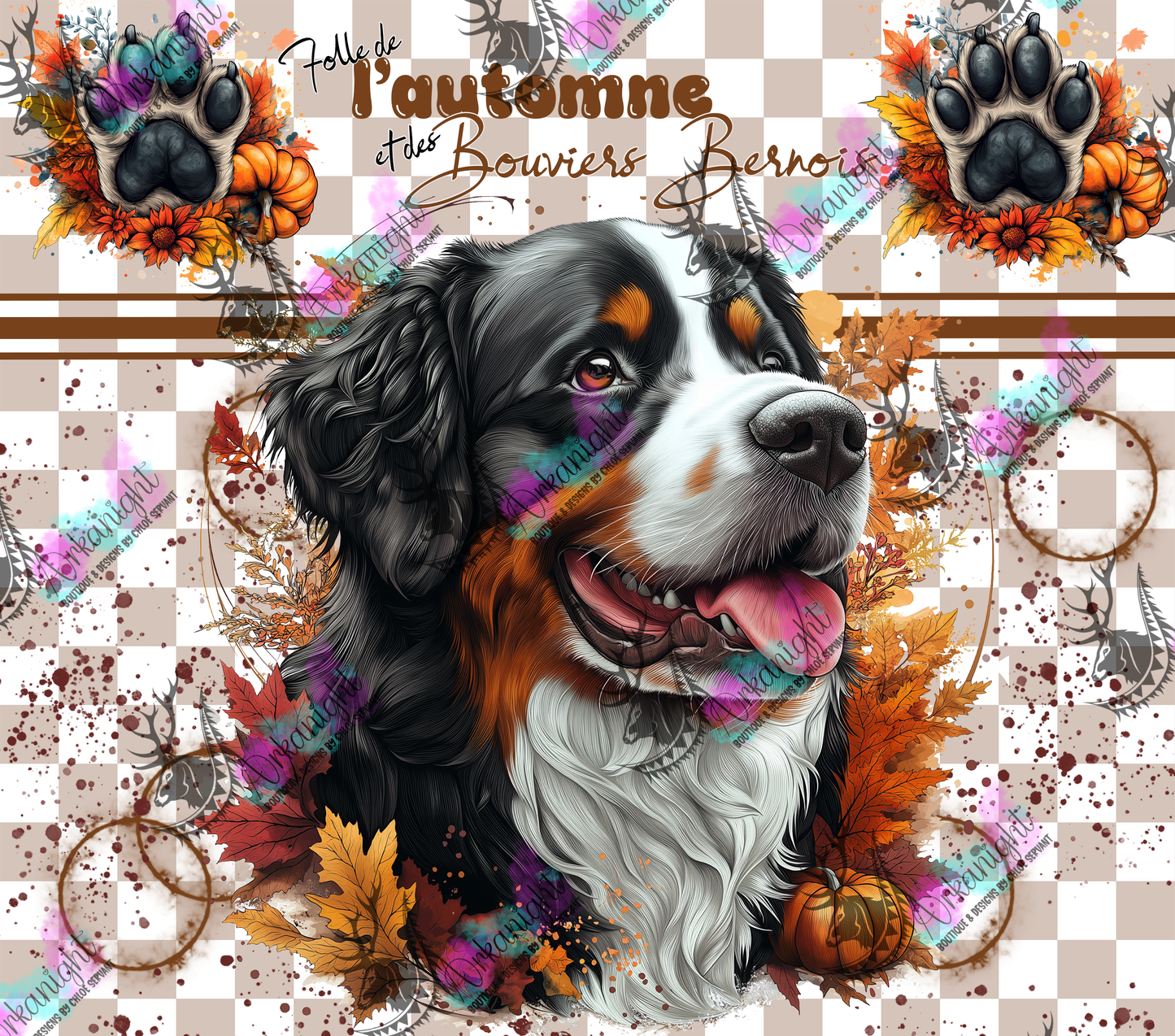 Numérique - Autumn 2024 - Bouvier Bernois