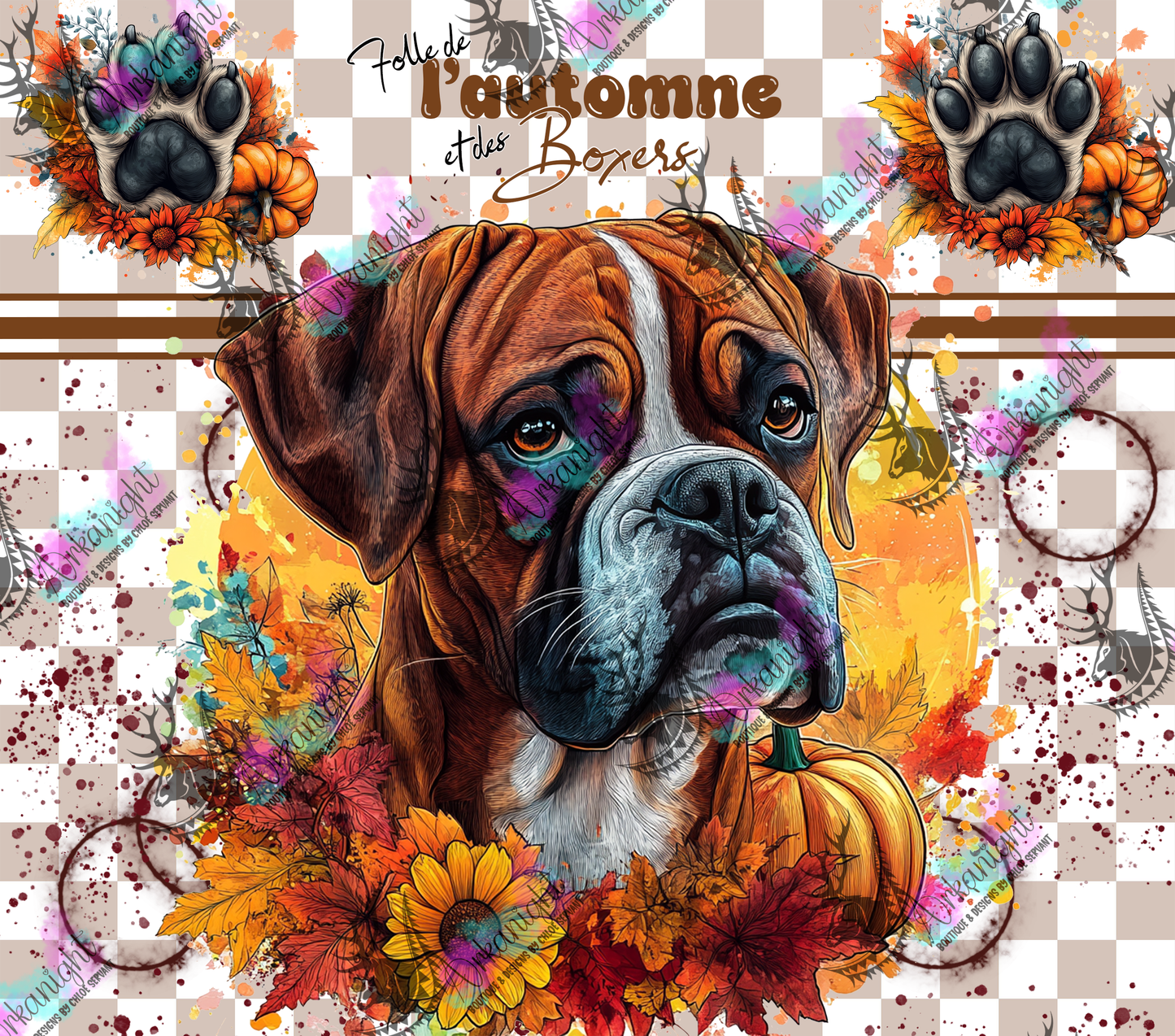 Numérique - Autumn 2024 - Boxer