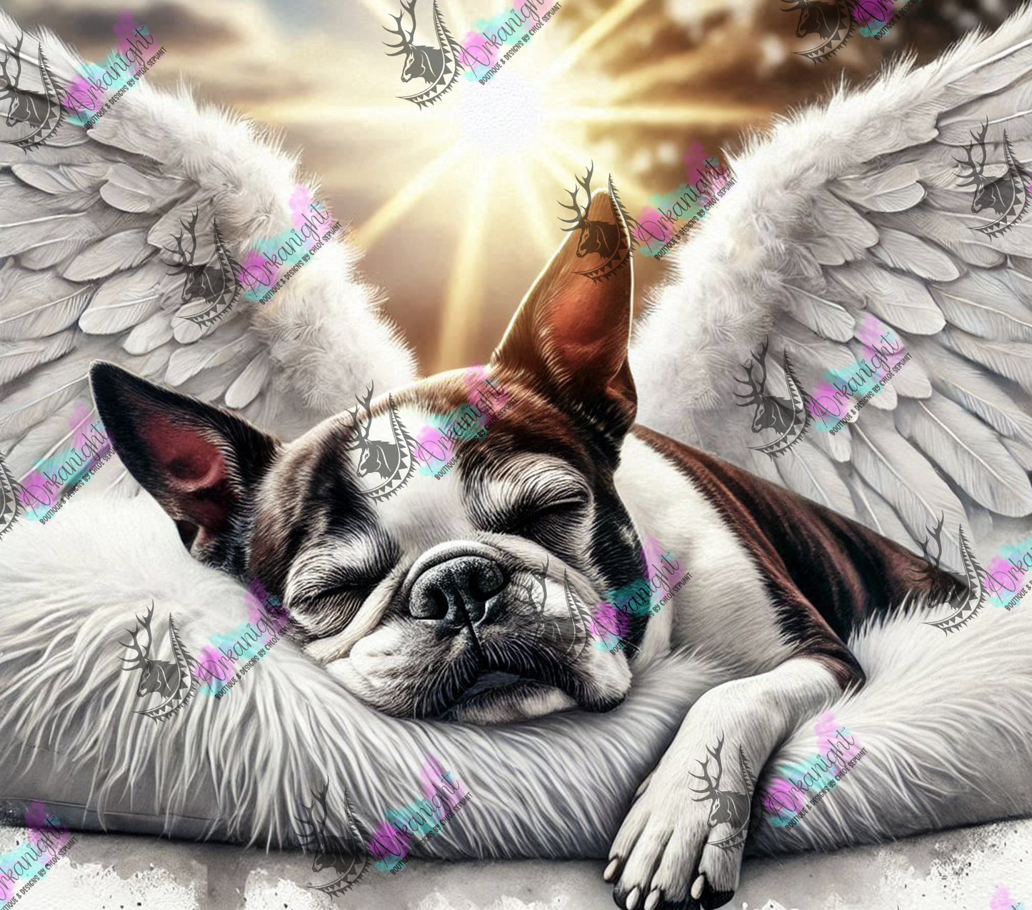 Numérique - Collection Mémoire Chien - Boston Terrier - 01