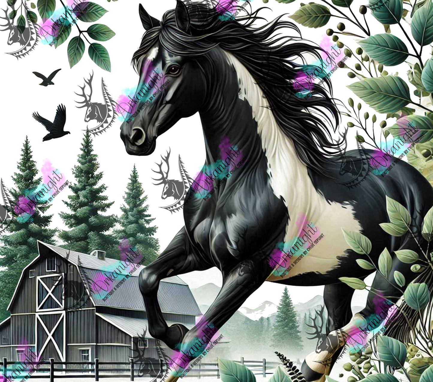 Numérique - Collection Western 2025 - 18