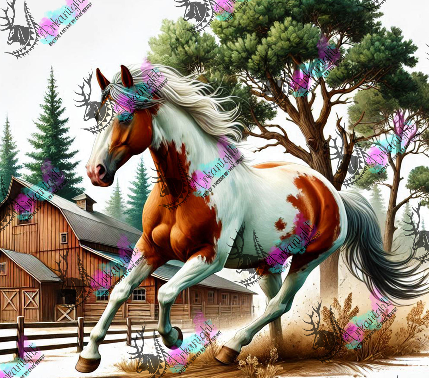 Numérique - Collection Western 2025 - 16