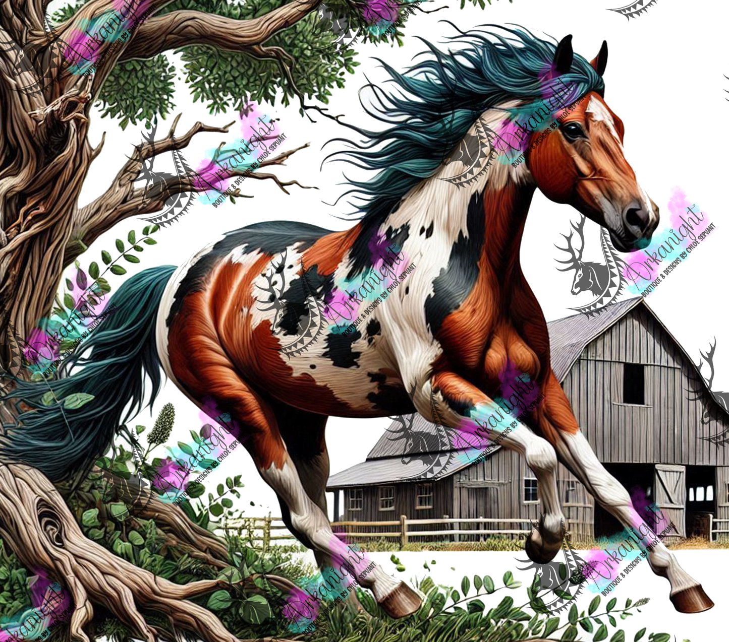 Numérique - Collection Western 2025 - 11