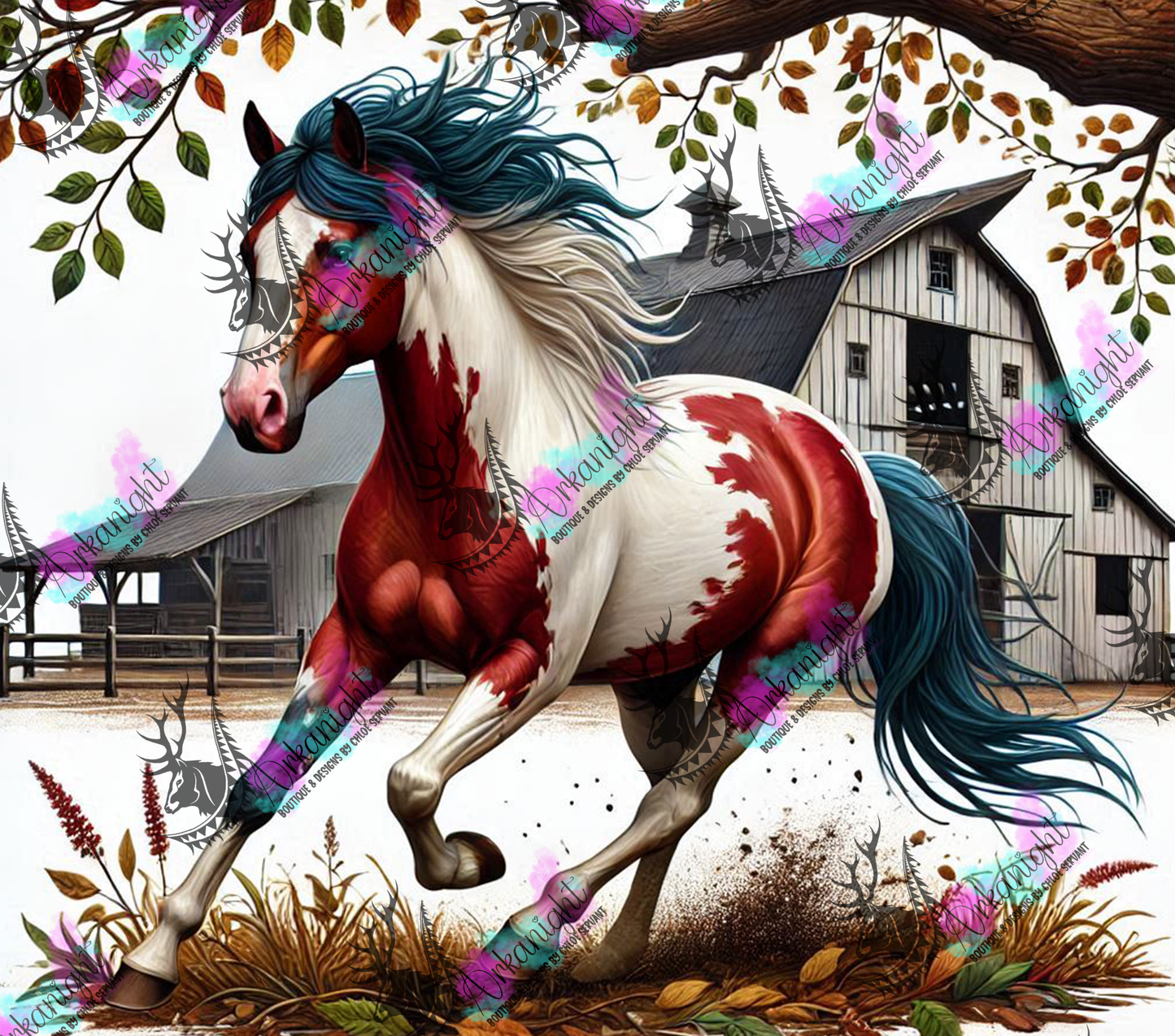 Numérique - Collection Western 2025 - 09