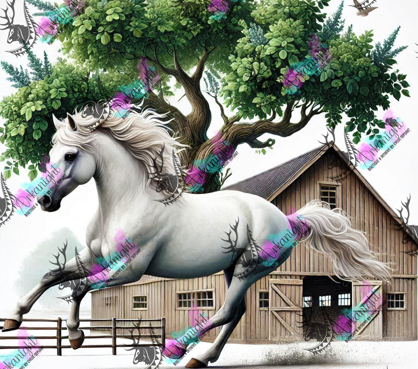 Numérique - Collection Western 2025 - 08