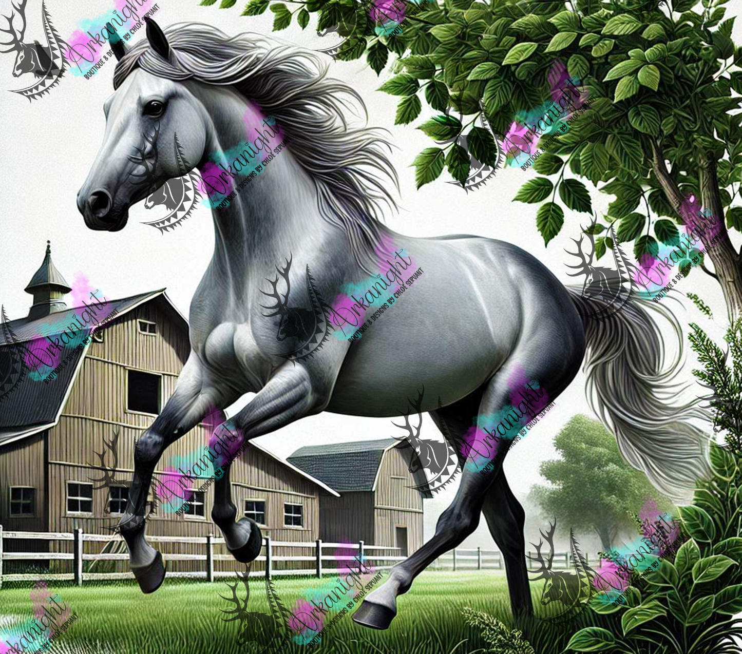 Numérique - Collection Western 2025 - 02