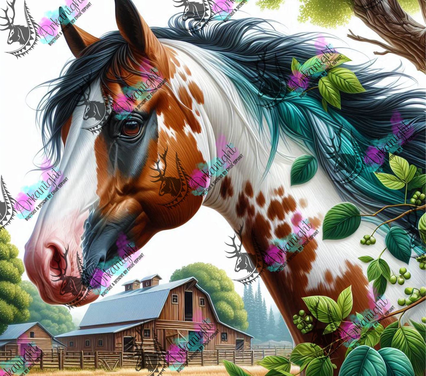 Numérique - Collection Western 2025 - 01