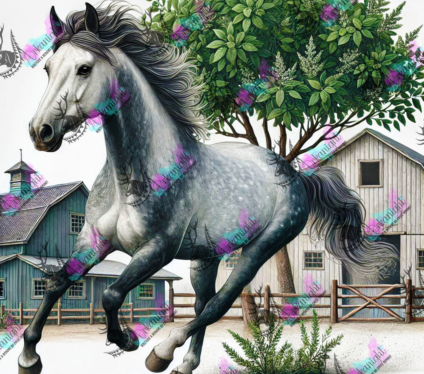 Numérique - Collection Western 2025 - 21