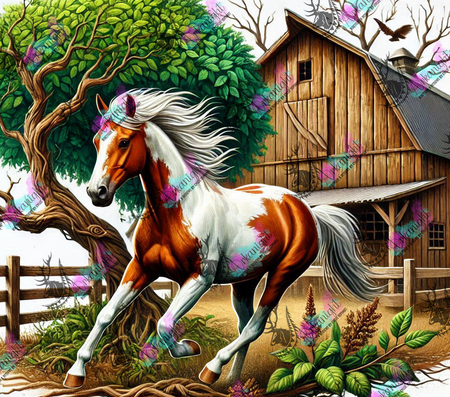 Numérique - Collection Western 2025 - 30