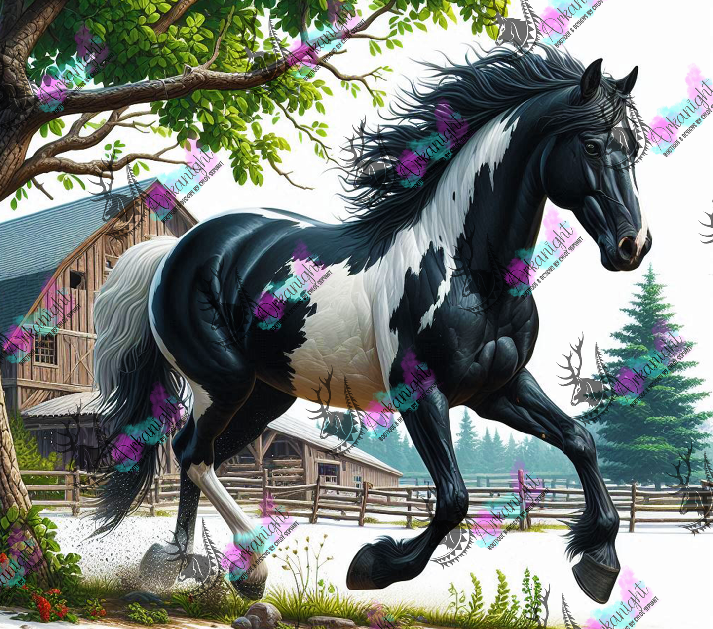 Numérique - Collection Western 2025 - 24