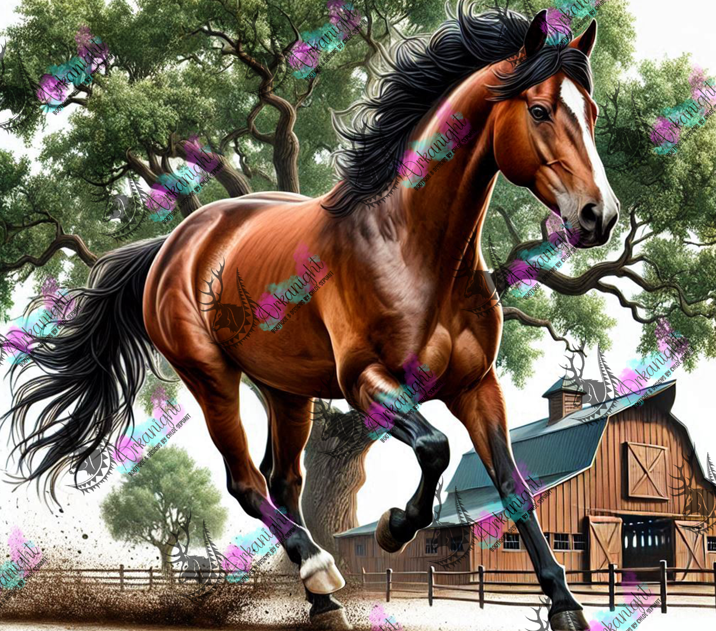 Numérique - Collection Western 2025 - 31