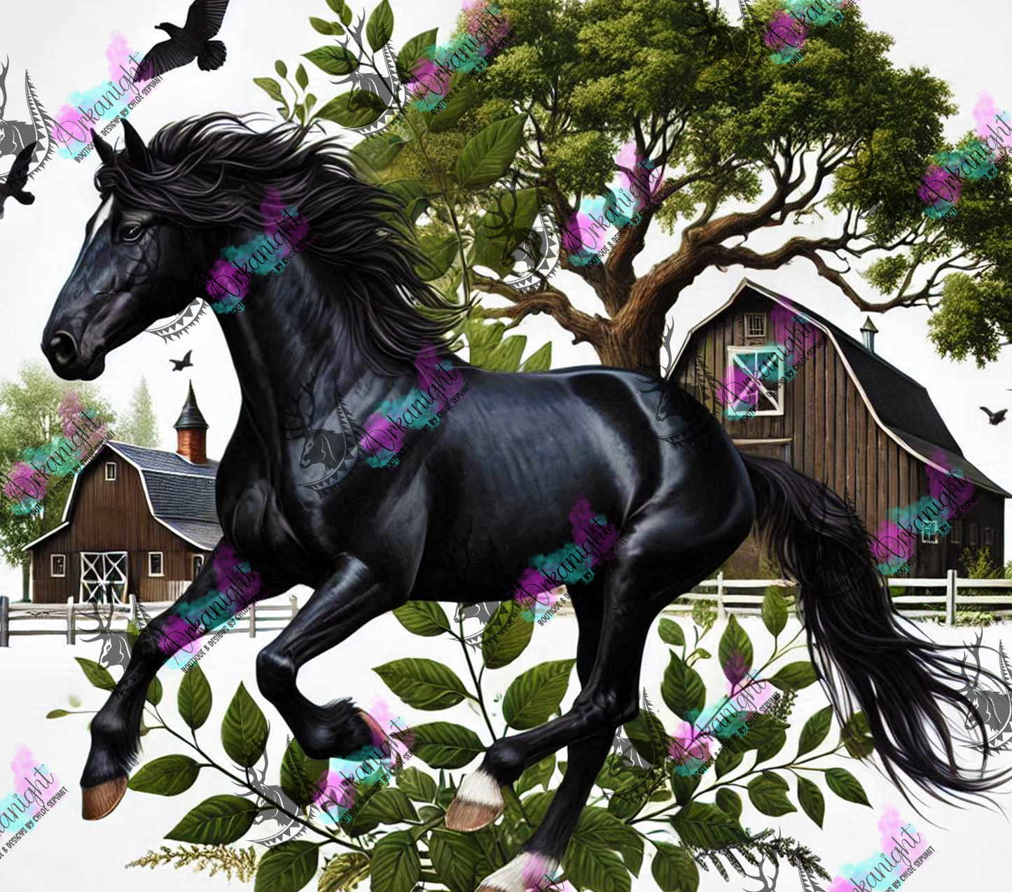 Numérique - Collection Western 2025 - 36