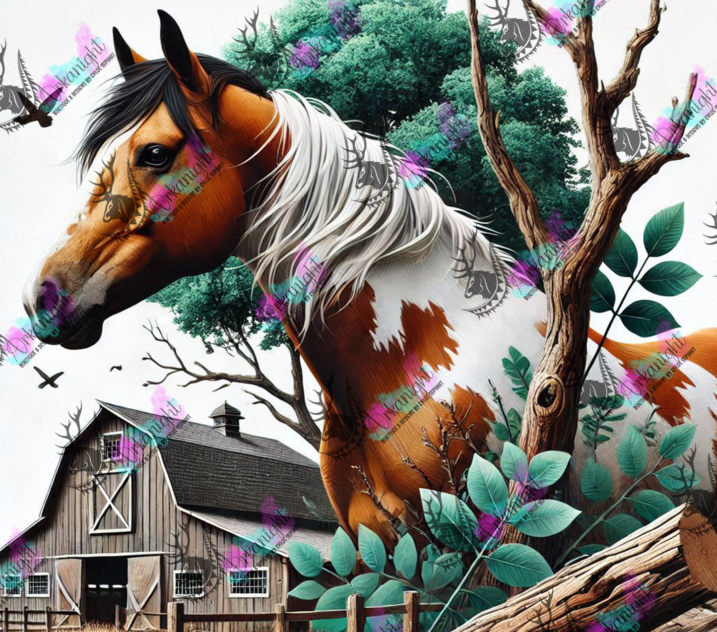 Numérique - Collection Western 2025 - 35