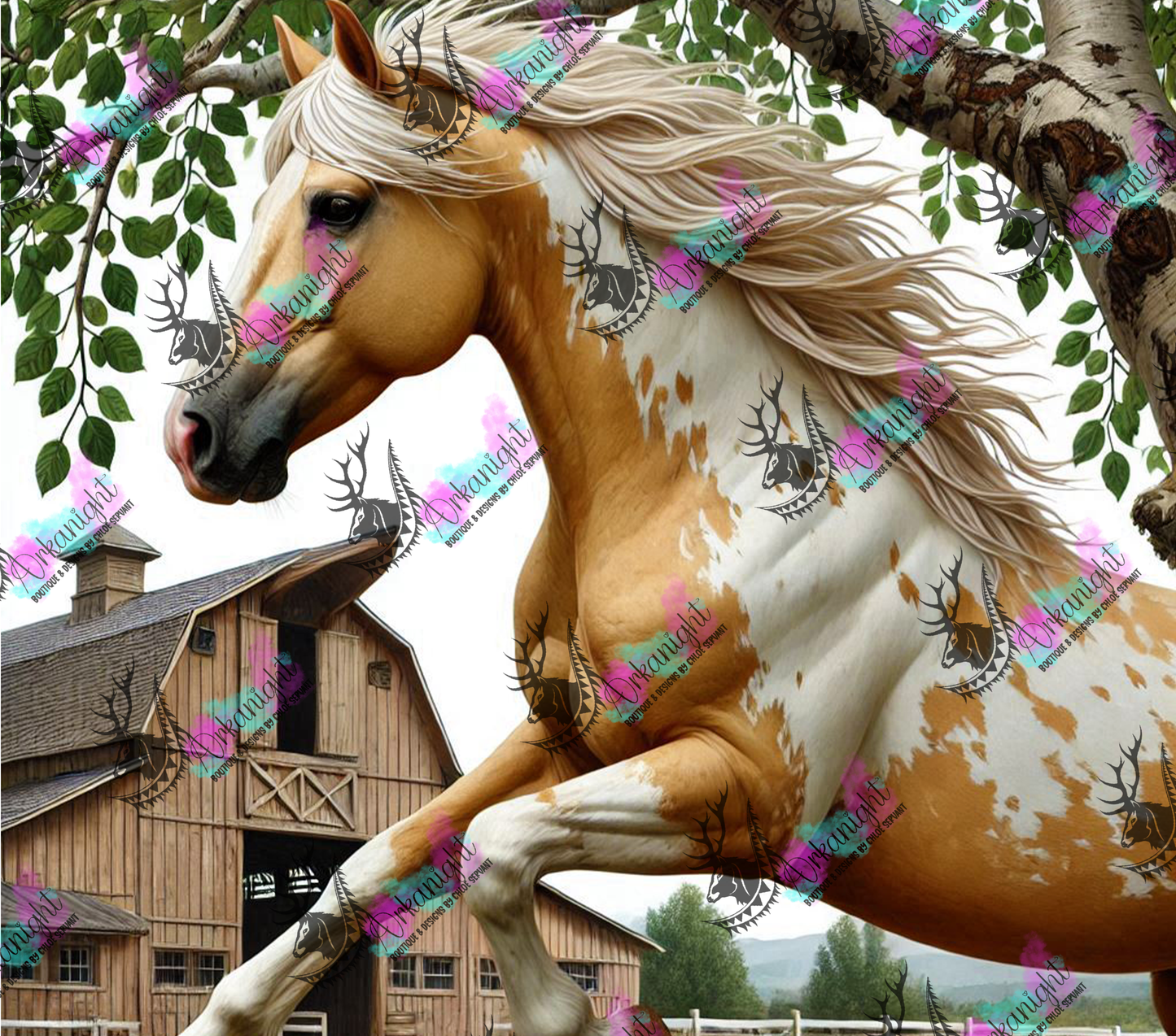 Numérique - Collection Western 2025 - 45