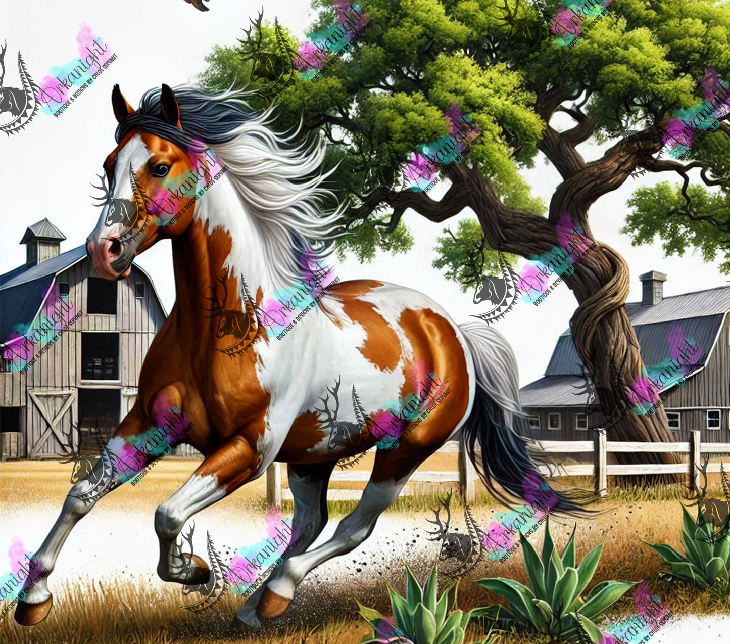 Numérique - Collection Western 2025 - 56