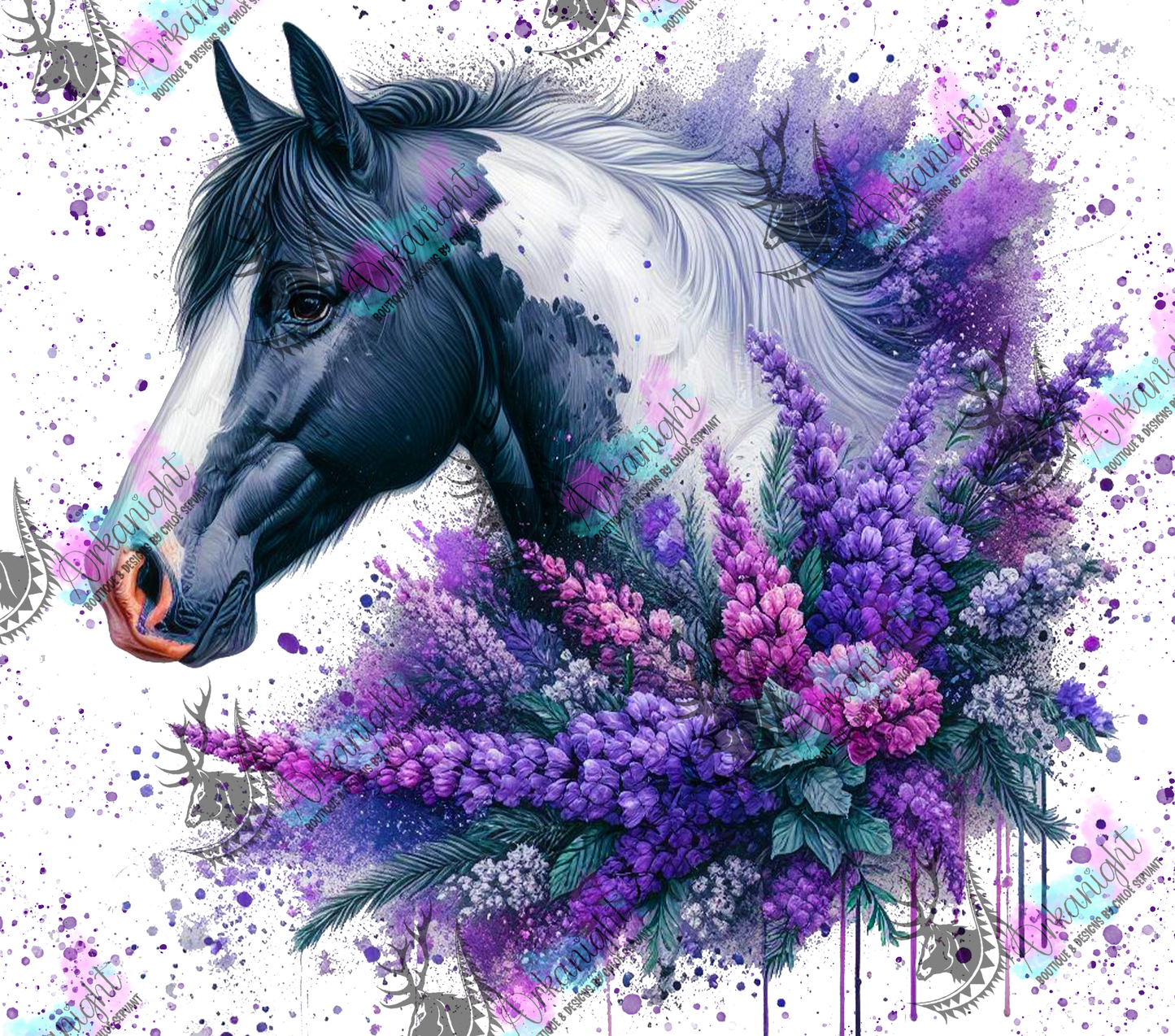 Numérique - Collection Western 2025 - 123