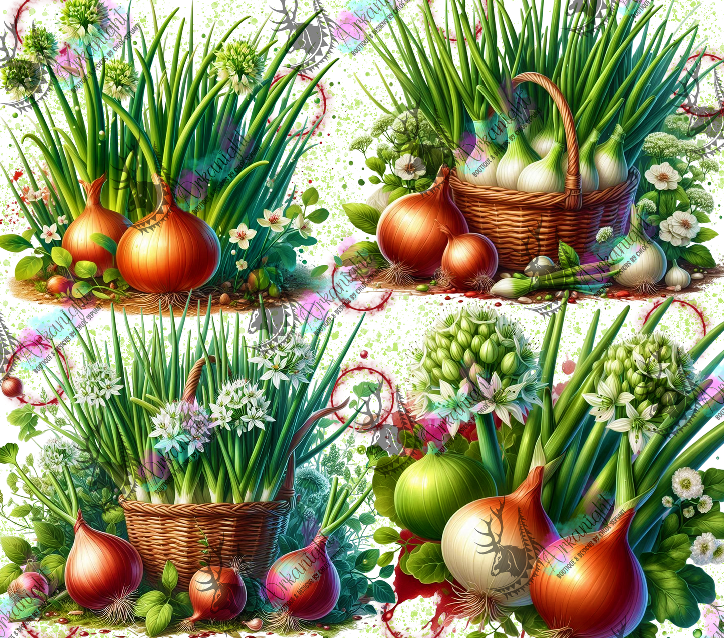 Numérique - Collection Fruits & Légumes 2025 - Oignons