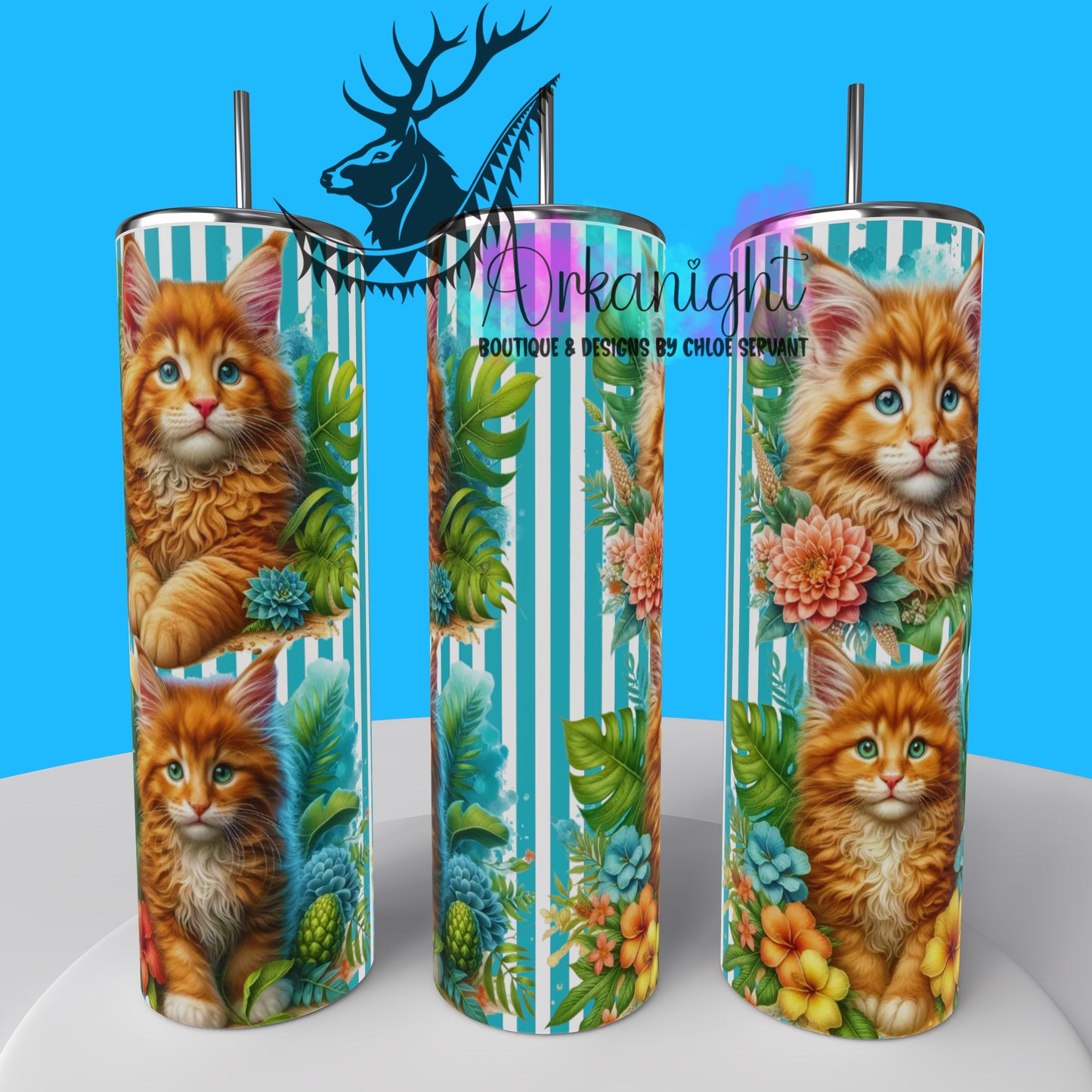 Gourde sur commande - Collection Monstera & Chaton 2025 - Maine Coon Roux