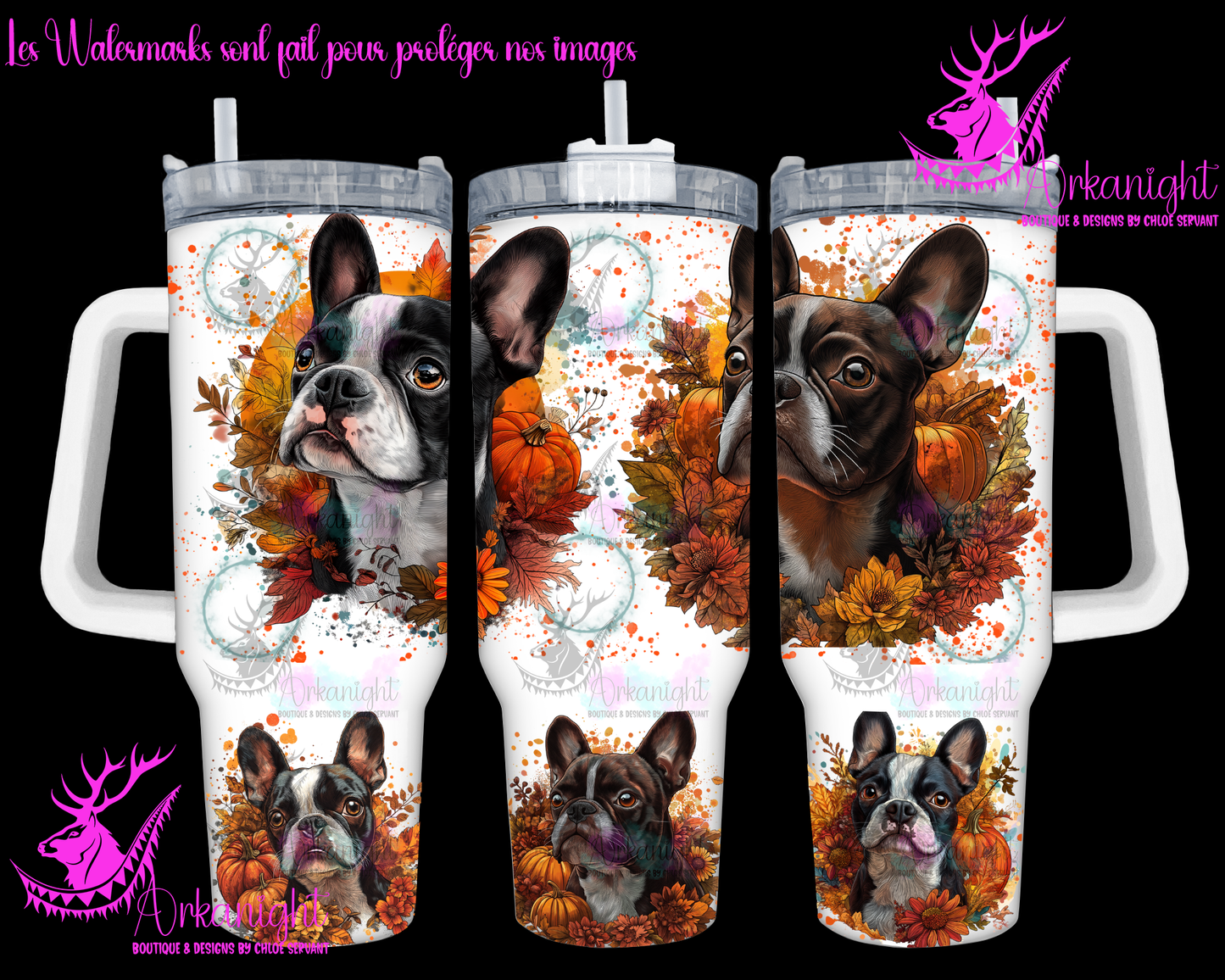 Numérique 40 oz - Autumn 2024 - Boston Terrier