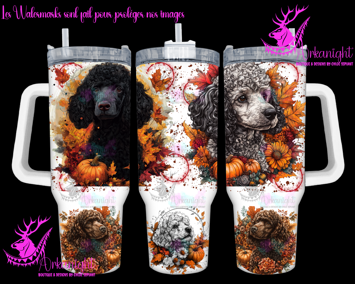 Numérique 40 oz - Autumn 2024 - Poodle