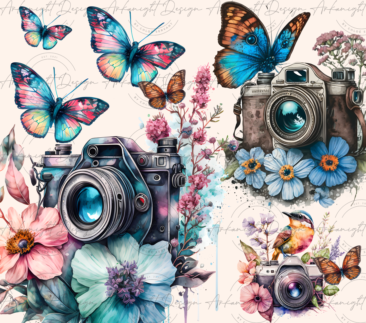 camera of life