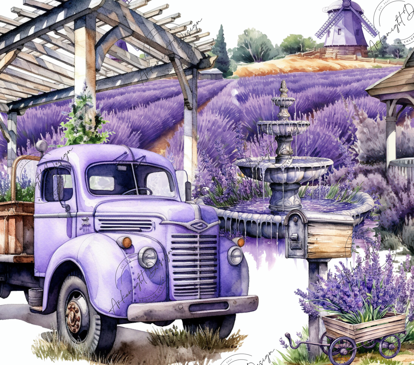 Lavender field