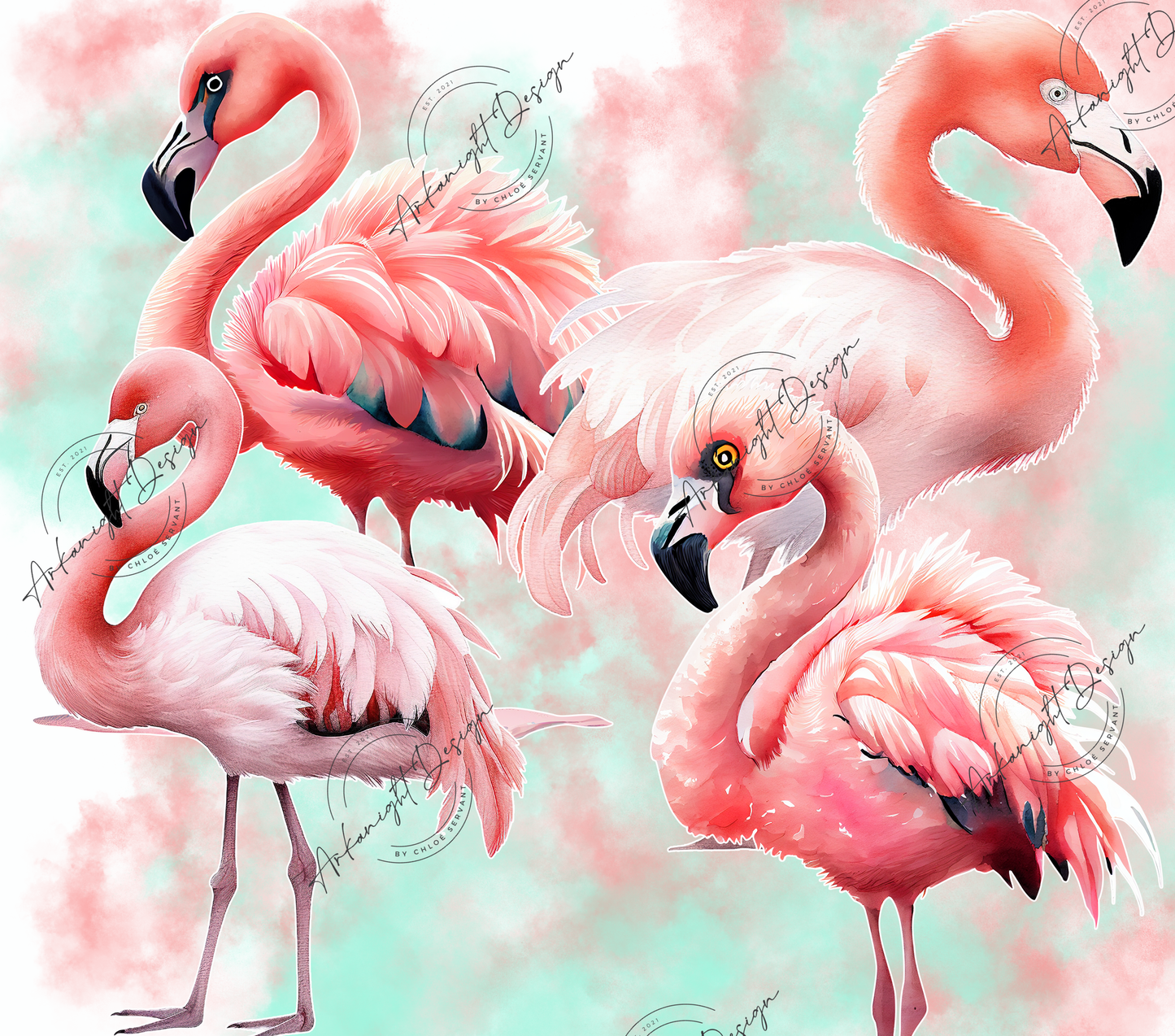 Flamingo - 03