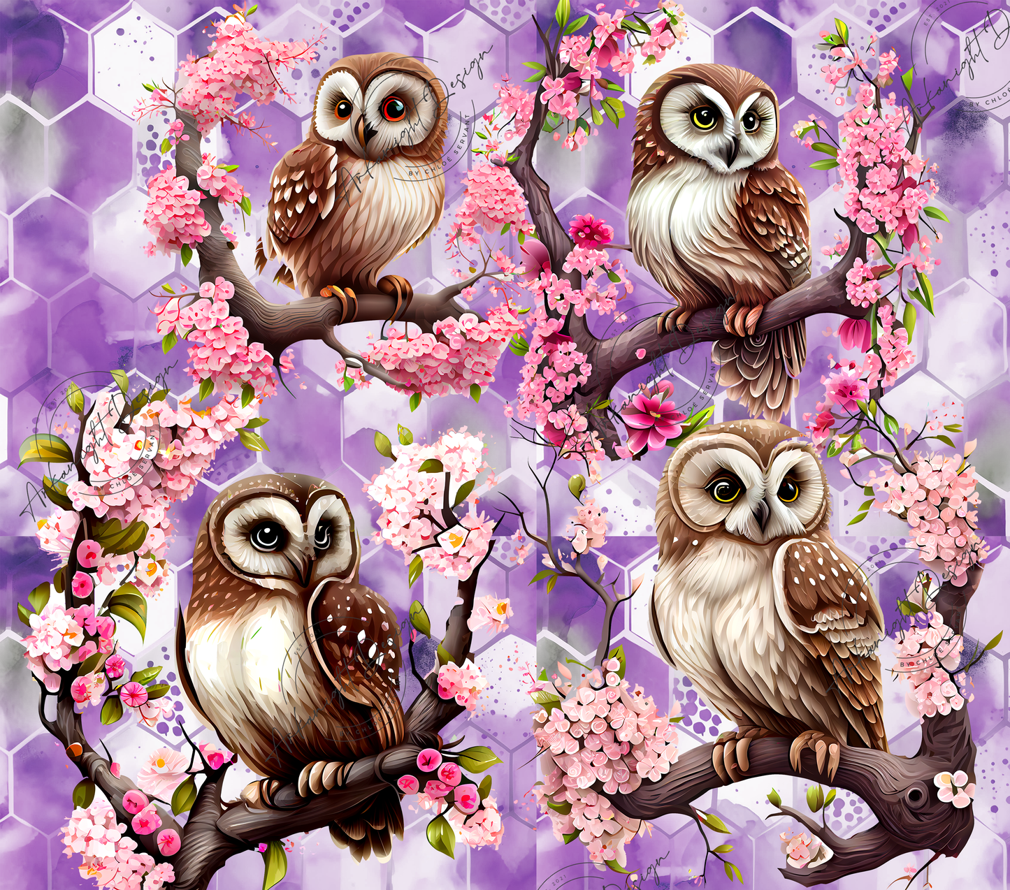 Cute Owls