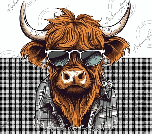 Cool Higland cow