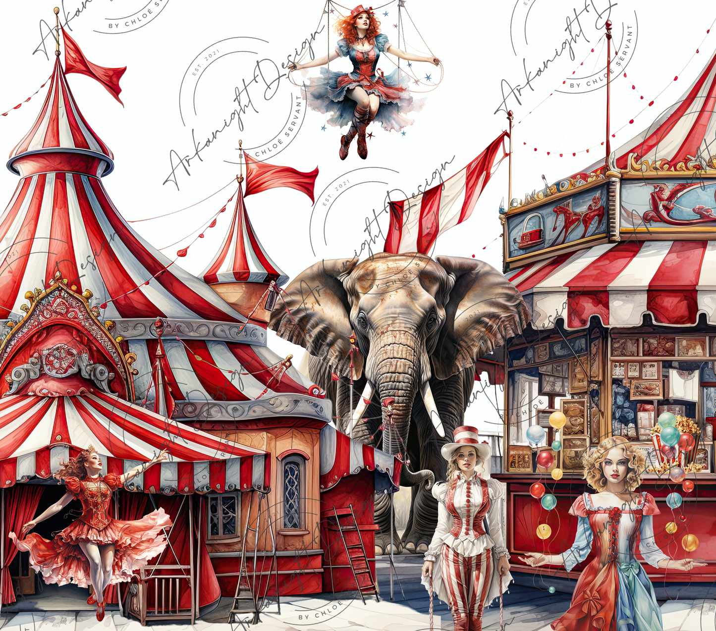 One day at the circus