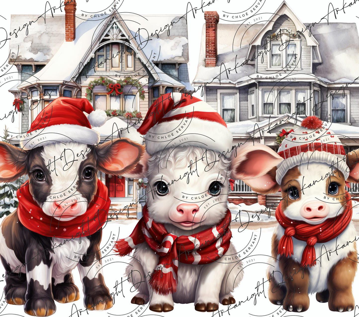 Winter cow's in town