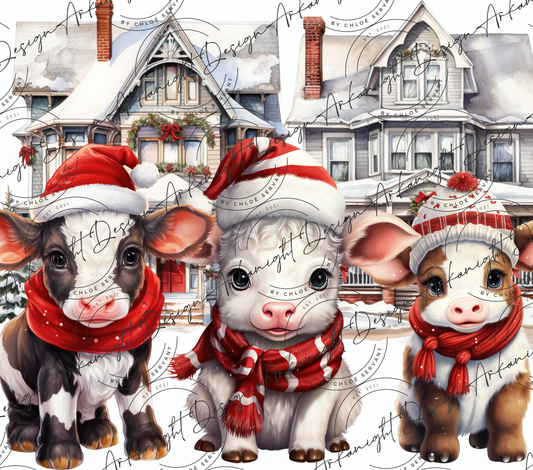 Winter Cow's in town