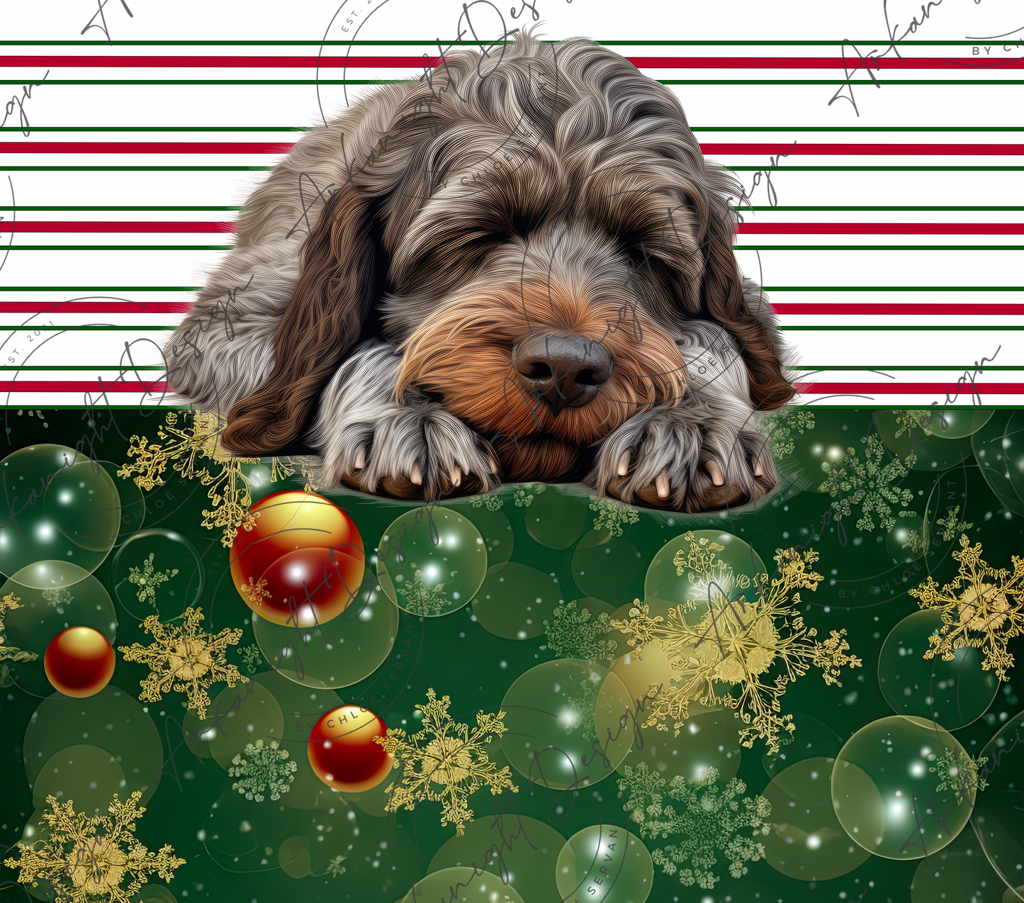 Wirehaired Pointing Griffon - Christmas