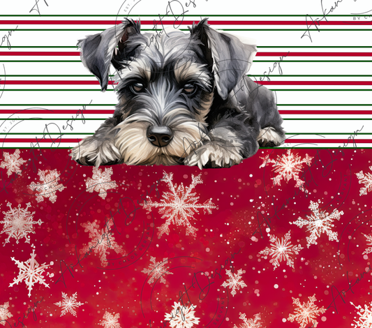 Schnauzer - Christmas