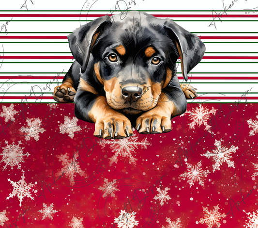 Rottweiler - Christmas