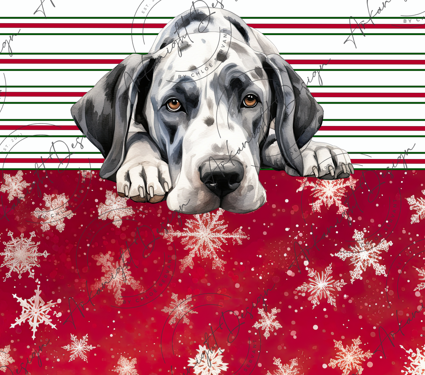 Great Dane - Christmas