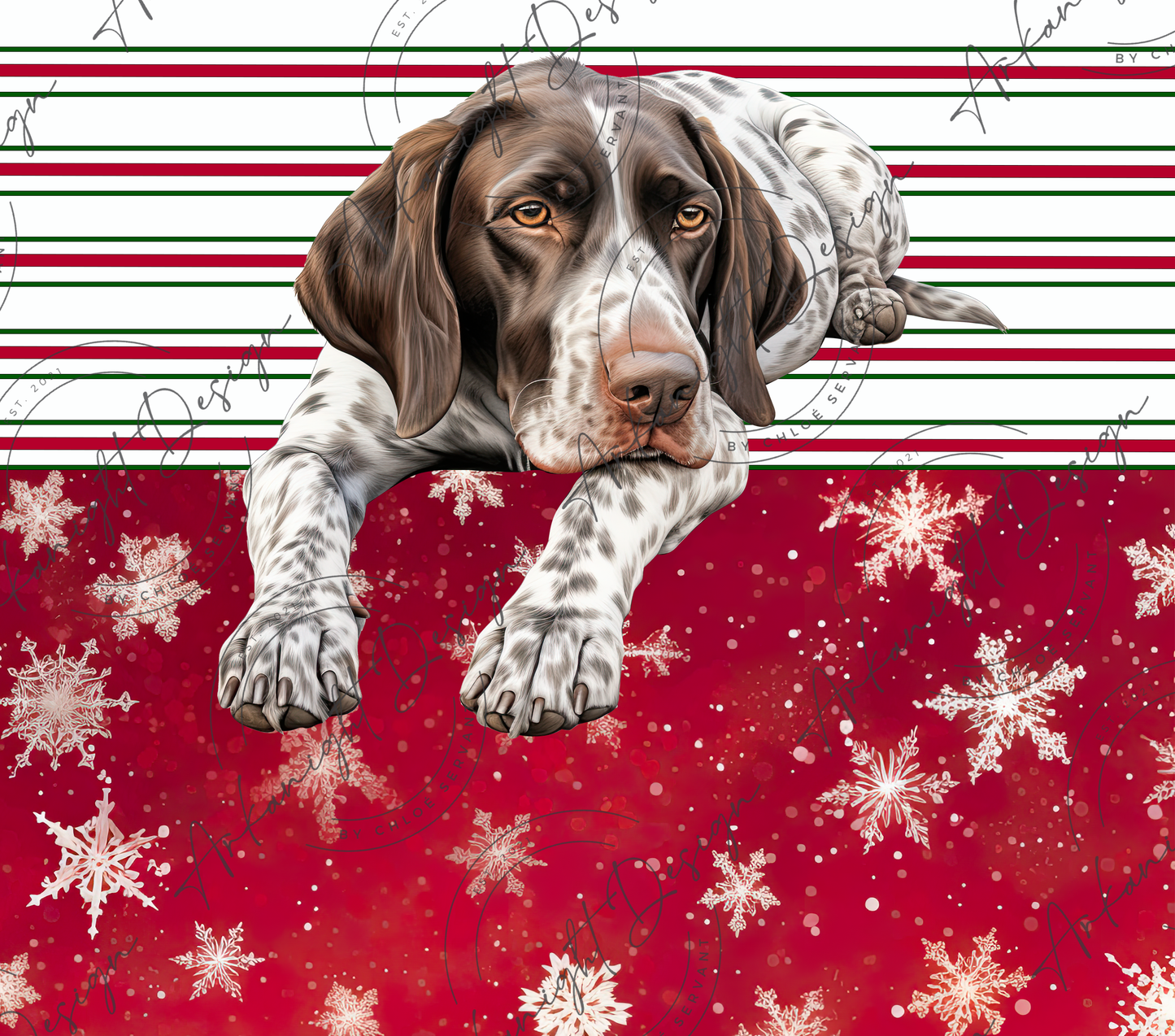 German Shirthaired Pointer - Christmas