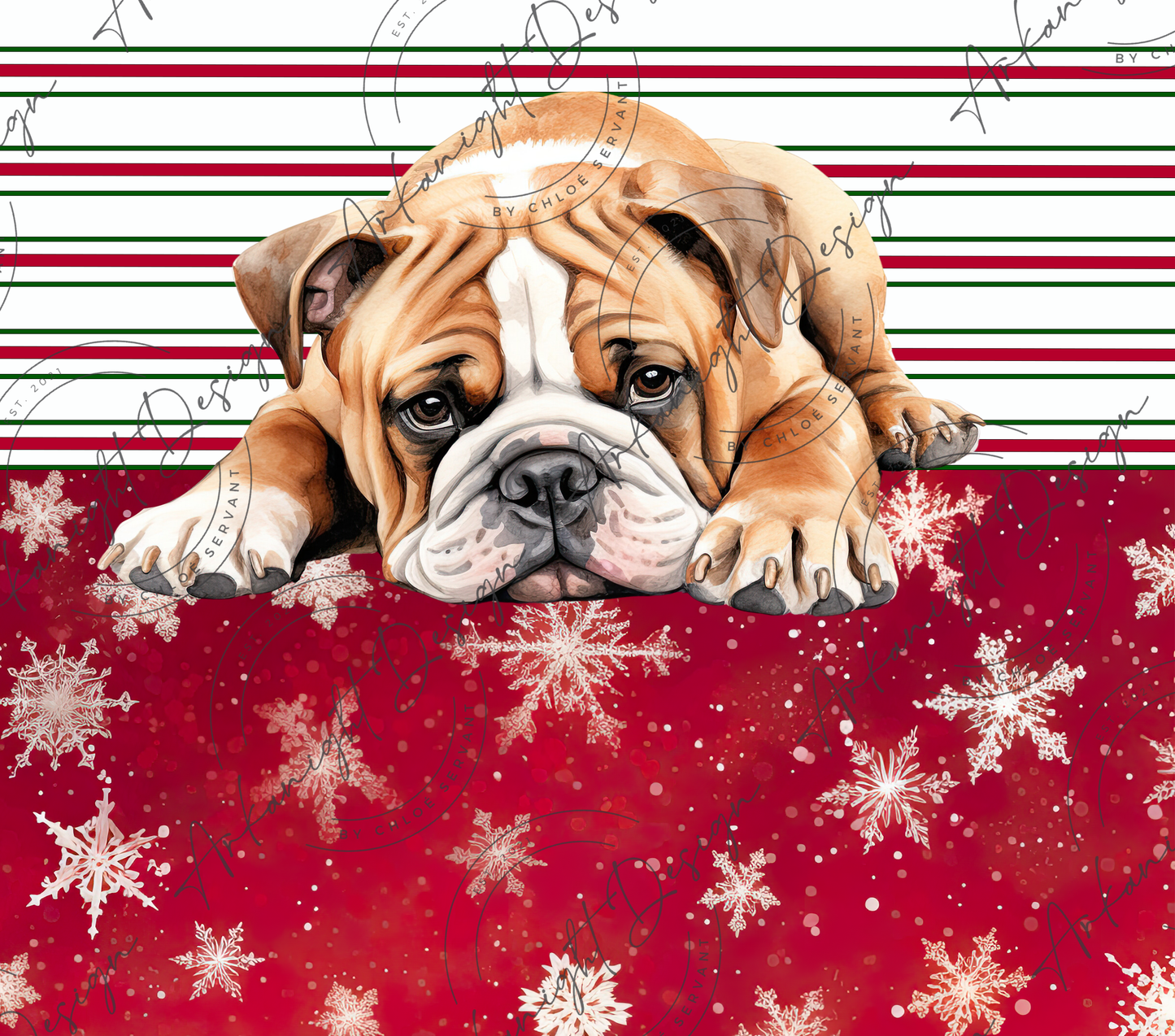 English Bulldog - Christmas