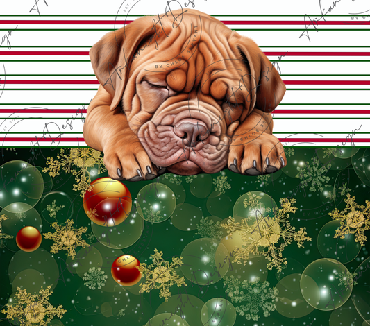 Dogue de bordeaux - Christmas