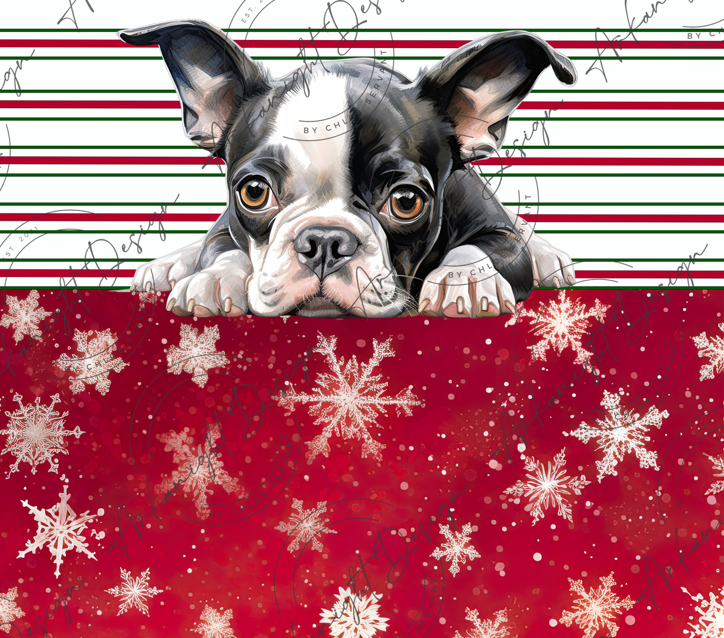 Boston Terrier - Christmas