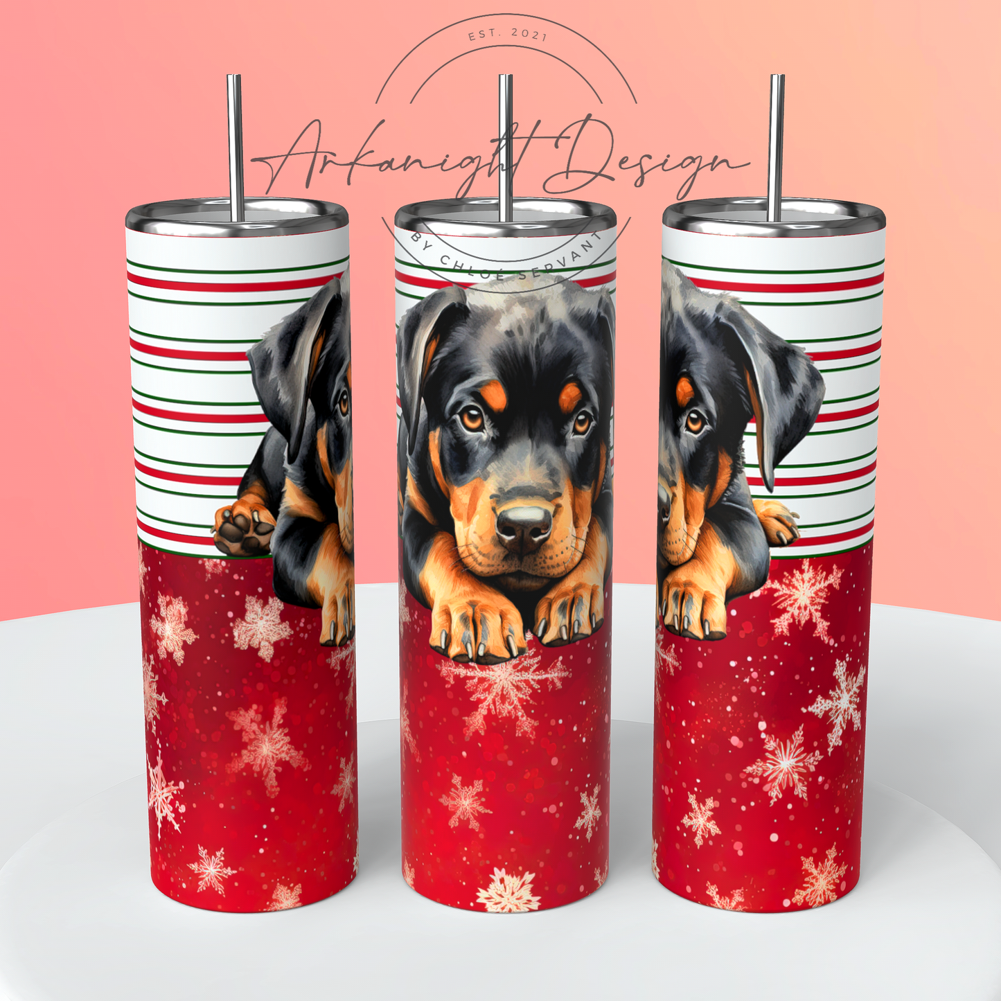 Rottweiler - Christmas