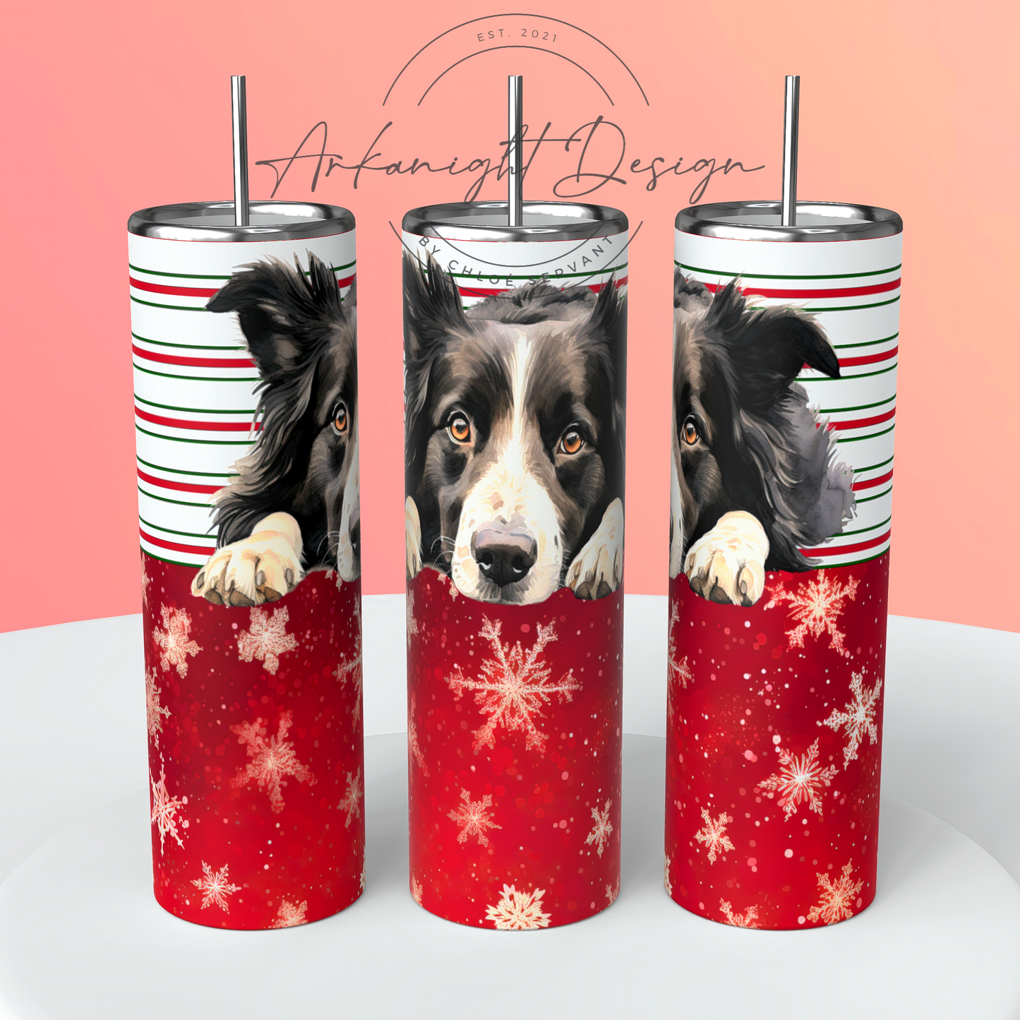 Border Collie - Christmas