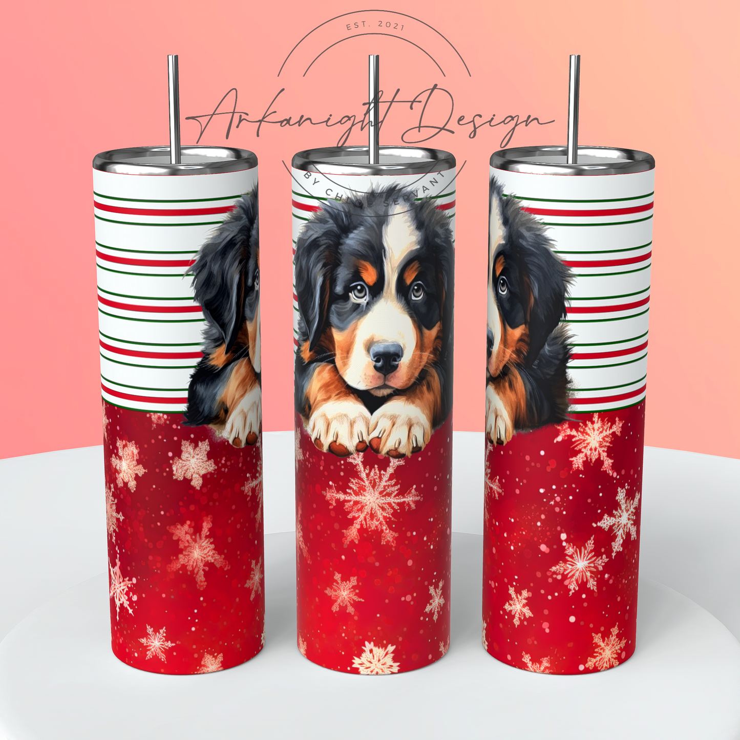 Bernese Mountain - Christmas