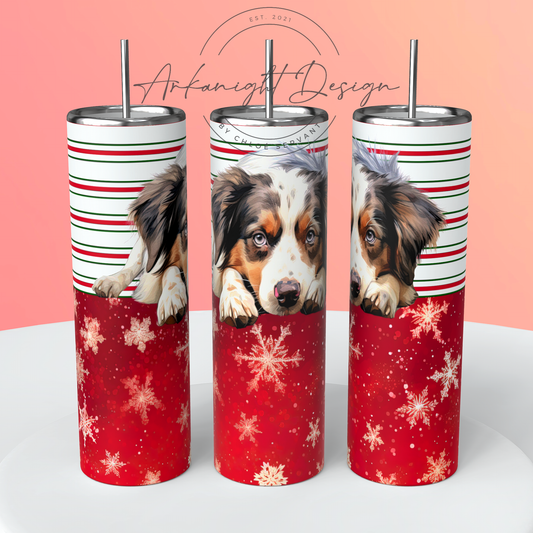 Australian Shepherd - Christmas