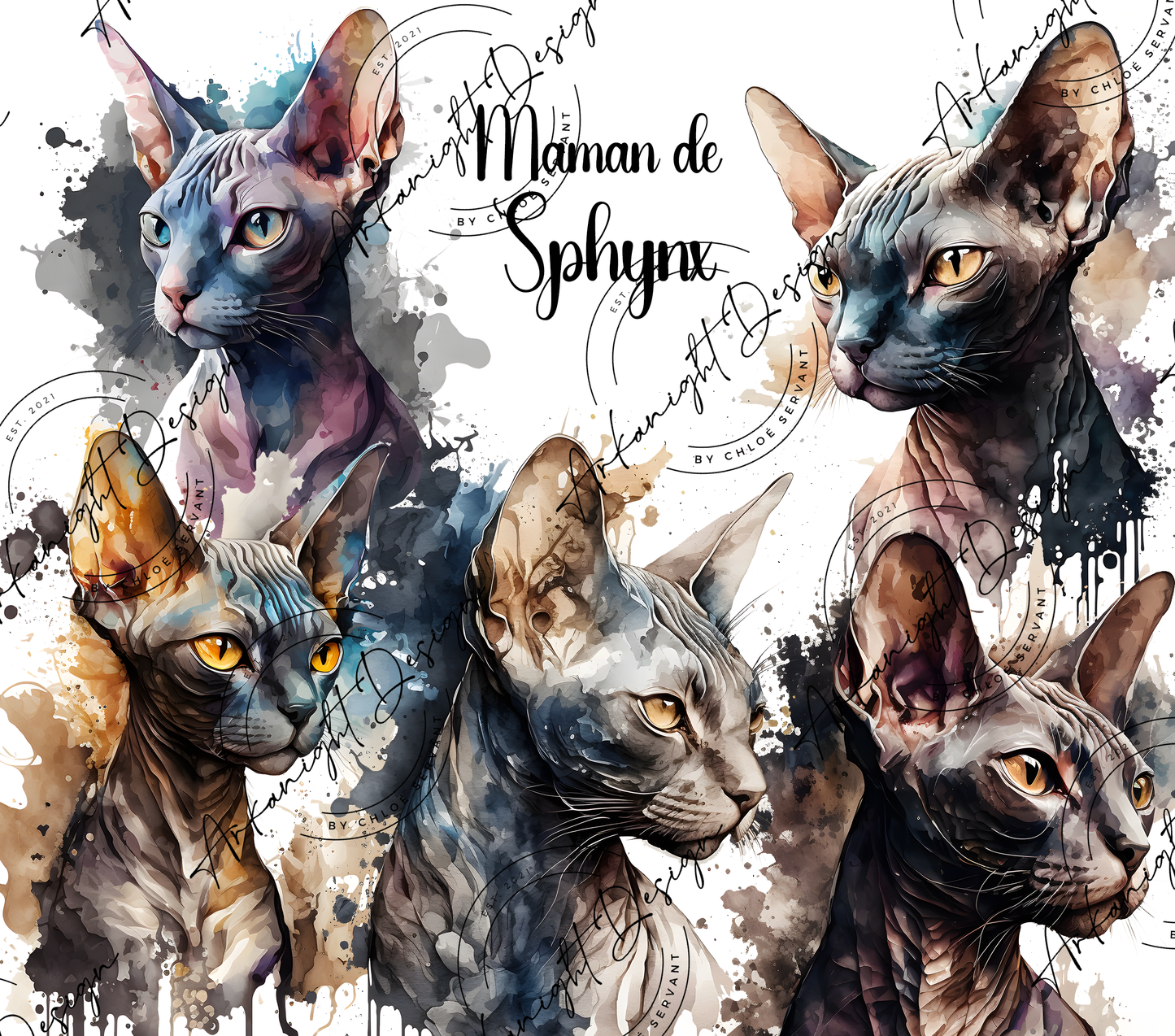 Maman de Sphynx