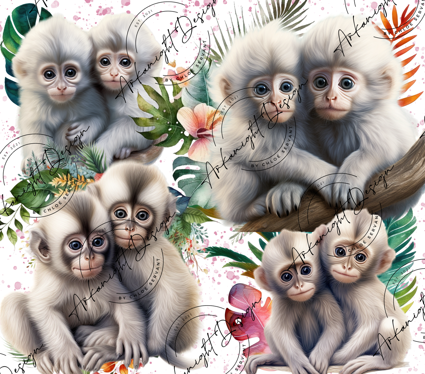 Baby Monkey's