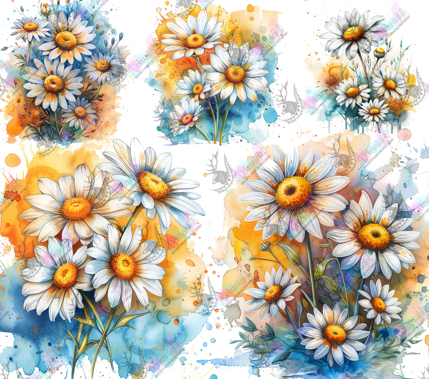 Numérique - Watercolor Daisies