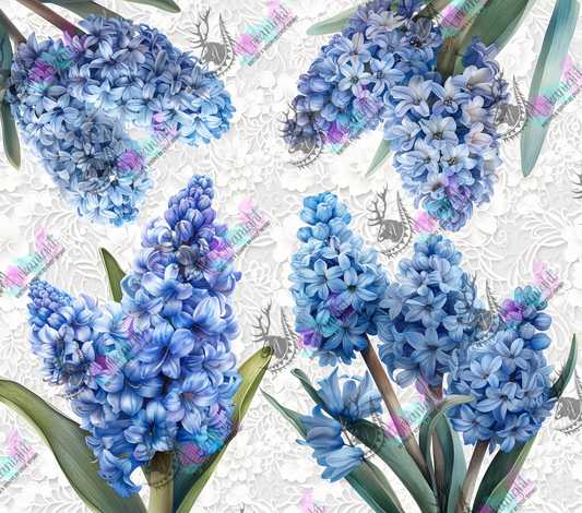 Impression - Light Blue Hyacinthe and Lace