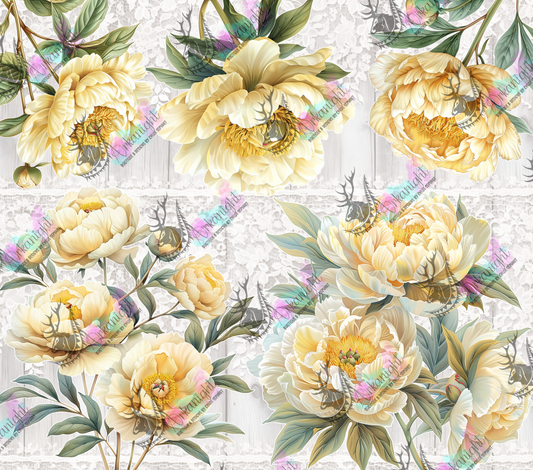 Impression - Light Yellow Peonies And Lace