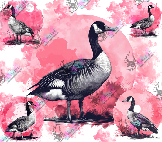 Impression - Lines Art - Canada Goose